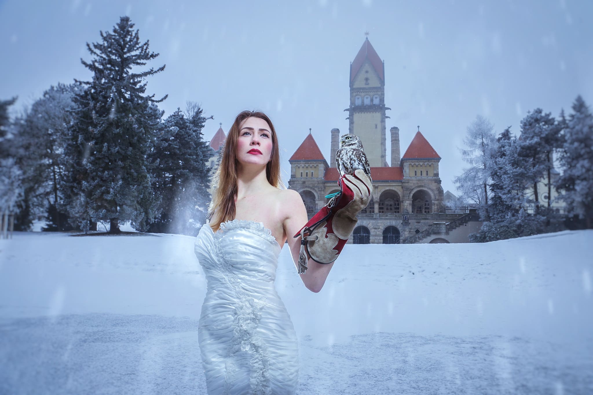 IMG_1246 (1) IMG_1246 (1)